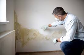 Best Industrial Mold Remediation in USA